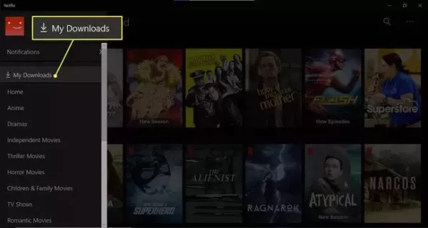 How to download movies from Netflix？