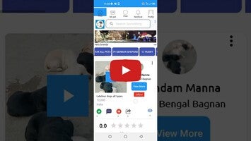Pet and dog app. Buy and sell