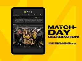 BVB