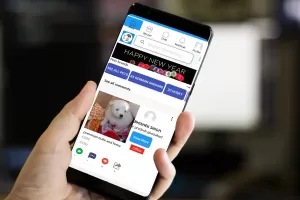 pet & dog - Buy and sell