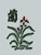 Mahjong Solitaire