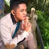 AFIF