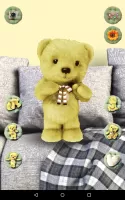 Talking Bear Plush