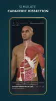 Complete Anatomy 2024