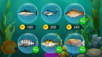 Solitaire Fish World-OceanTrip