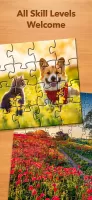 Jigsaw Puzzle