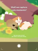 Forest Island : Relaxing Game