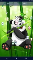 Panda Kawaii Live Wallpaper