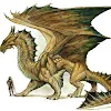 SgtKOnyx