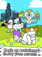 Human Evolution