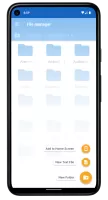 File Manager