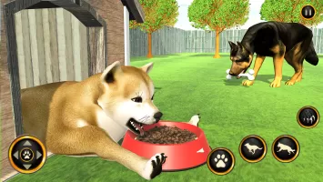 Dog Life Dog Simulator Games