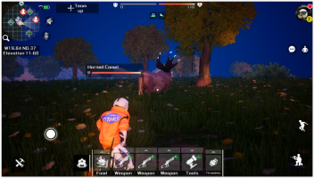 Auroria: a playful journey