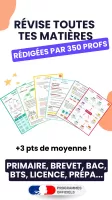 Brevet Bac Sup Primaire 2025