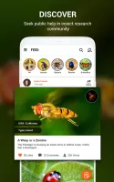 Insect identifier by Photo Cam