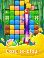 Fruit Block Friends