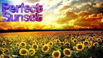 Perfect Sunset Live Wallpaper