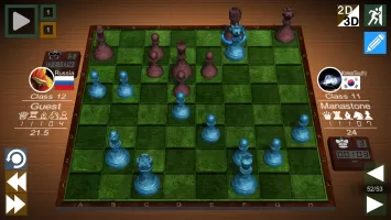 World Chess Championship