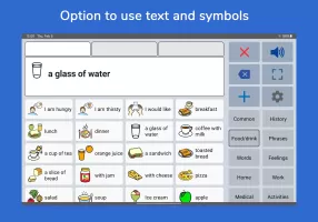 Speech Assistant AAC