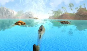 Helicoprion Simulator