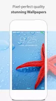 Wallpapers: phone and tablet