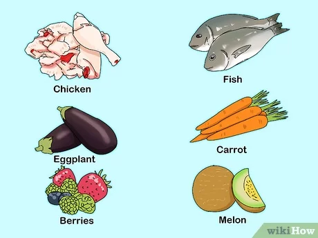 Rhythmic Gymnastics Dream Team