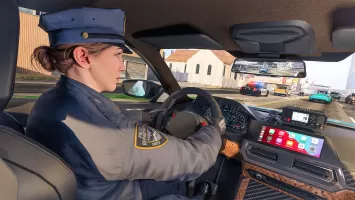 Police Simulator Job Cop Game