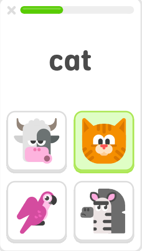 Duolingo ABC
