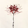 Shane Goldberg