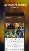 Tiger Wallpapers 4K