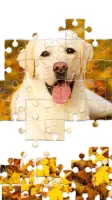 Jigsaw1000: Jigsaw puzzles