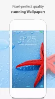 Wallpapers: phone and tablet