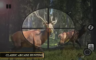 Sniper Animal Shooting Game 3D