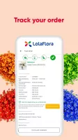 LolaFlora