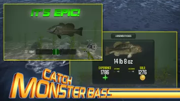 Master Bass: Fishing Games