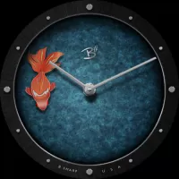 Facer Watch Faces