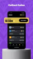 Coin Pop
