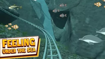 VR Roller Coaster Crazy Rider