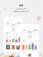 신비운 - 2026운세, 사주, 타로, 궁합, 토정비결