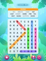 Word Search Explorer