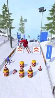 Ski Master 3D