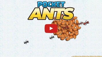 Pocket Ants Gameplay Android