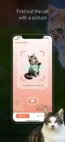 Cat Identifier - Cat Scanner