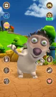 Talking Hedgehog