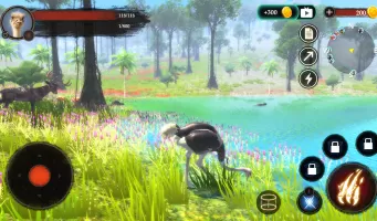 The Ostrich