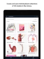 BioDigital Human