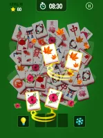 Mahjong 3D Matching Puzzle