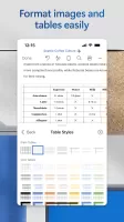 Microsoft Word