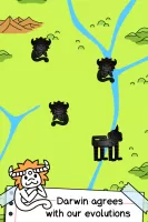 Monkey Evolution
