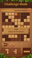 Block Puzzle Sudoku